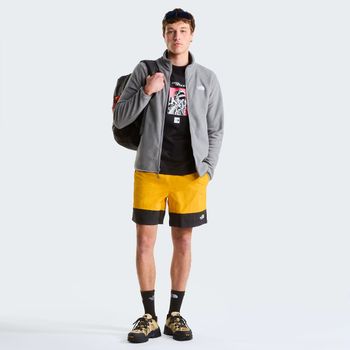 Джемпер THE NORTH FACE M GLACIER FLEECE JACKET мужской - 8