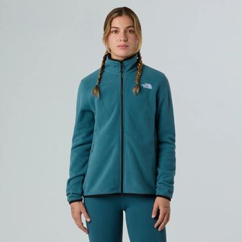 Джемпер THE NORTH FACE W GLACIER FLEECE JACKET женский - 1