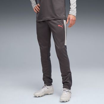 Штани Puma INDIVIDUALLIGA TRAINING PANTS чоловічі - фото