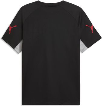 Футболка Puma INDIVIDUALLIGA JERSEY чоловіча - 2