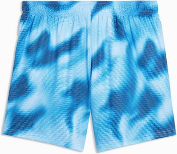 Шорты Puma PUMA SWIM MEN PRINTED RASTERIZED MID SHORTS 1P мужские - 5