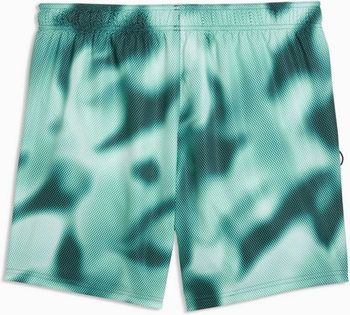 Шорты Puma PUMA SWIM MEN PRINTED RASTERIZED MID SHORTS 1P мужские - 5