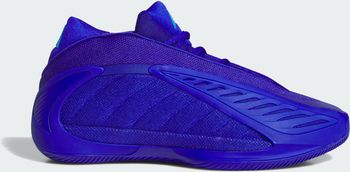 Кроссовки Adidas ANTHONY EDWARDS 2 LUCBLU/LURABL/LUCBLU мужские - 1