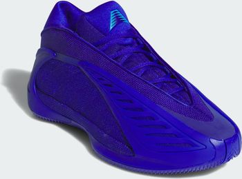 Кроссовки Adidas ANTHONY EDWARDS 2 LUCBLU/LURABL/LUCBLU мужские - 5