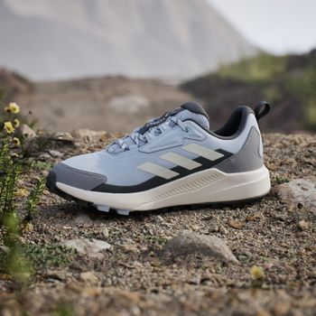 Кроссовки Adidas TERREX ANYLANDER W SEIMOR/CWHITE/CWHITE женские - 2