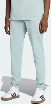 Брюки Adidas M A SZN FT R PT WOSA мужские - фото