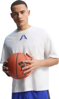 Футболка Adidas ANTED BT2 TEE WHITE/LUCBLU мужская - фото