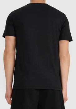 Футболка 4F TSHIRT M3341 чоловіча - 2