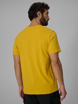 Футболка 4F TSHIRT M2659 чоловіча - 4