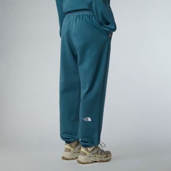 Брюки THE NORTH FACE W ESSENTIAL RELAXED STRAIGHT JOGGER женские - 2