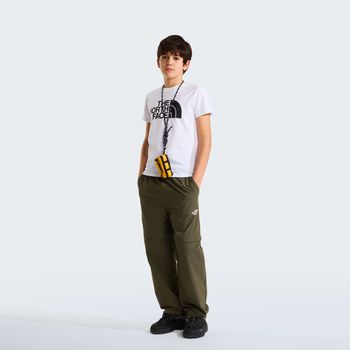 Футболка THE NORTH FACE TEEN EASY SS TEE детская - 9
