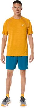 Шорти Asics ROAD 7IN SHORT чоловічі - 10