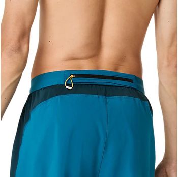 Шорти Asics ROAD 7IN SHORT чоловічі - 9