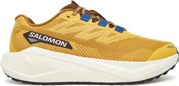 Кроссовки Salomon SHOES AERO BLAZE 3 GRVL мужские - фото