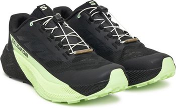 Кроссовки Salomon SHOES PULSAR мужские - 2