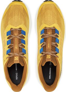Кроссовки Salomon SHOES AERO BLAZE 3 GRVL мужские - 4